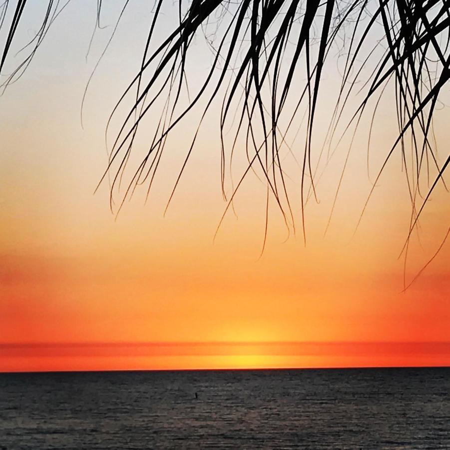 #212 Surf Song Resort St. Pete Beach Exteriör bild